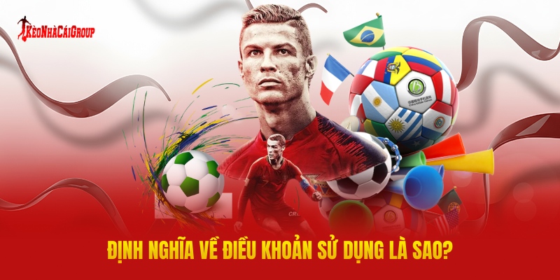 Định Nghĩa Về Điều Khoản Sử Dụng Là Sao?