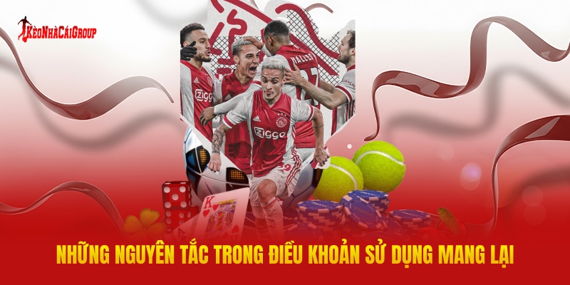 Những Nguyên Tắc Chính Trong Điều Khoản Sử Dụng Mang Lại