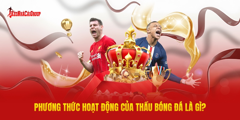 Phương Thức Hoạt Động Của Thầu Bóng Đá Là Gì?
