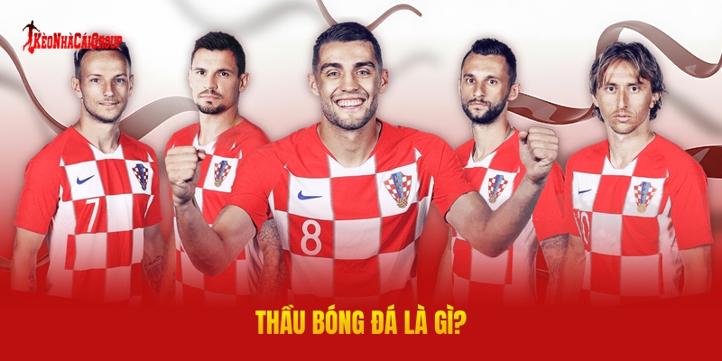 Thầu Bóng Đá Là Gì?