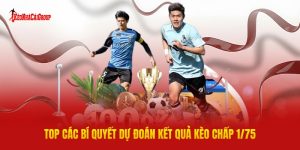 Top Các Bí Quyết Dự Đoán Kết Quả Kèo Chấp 1/75 Từ Cao Thủ